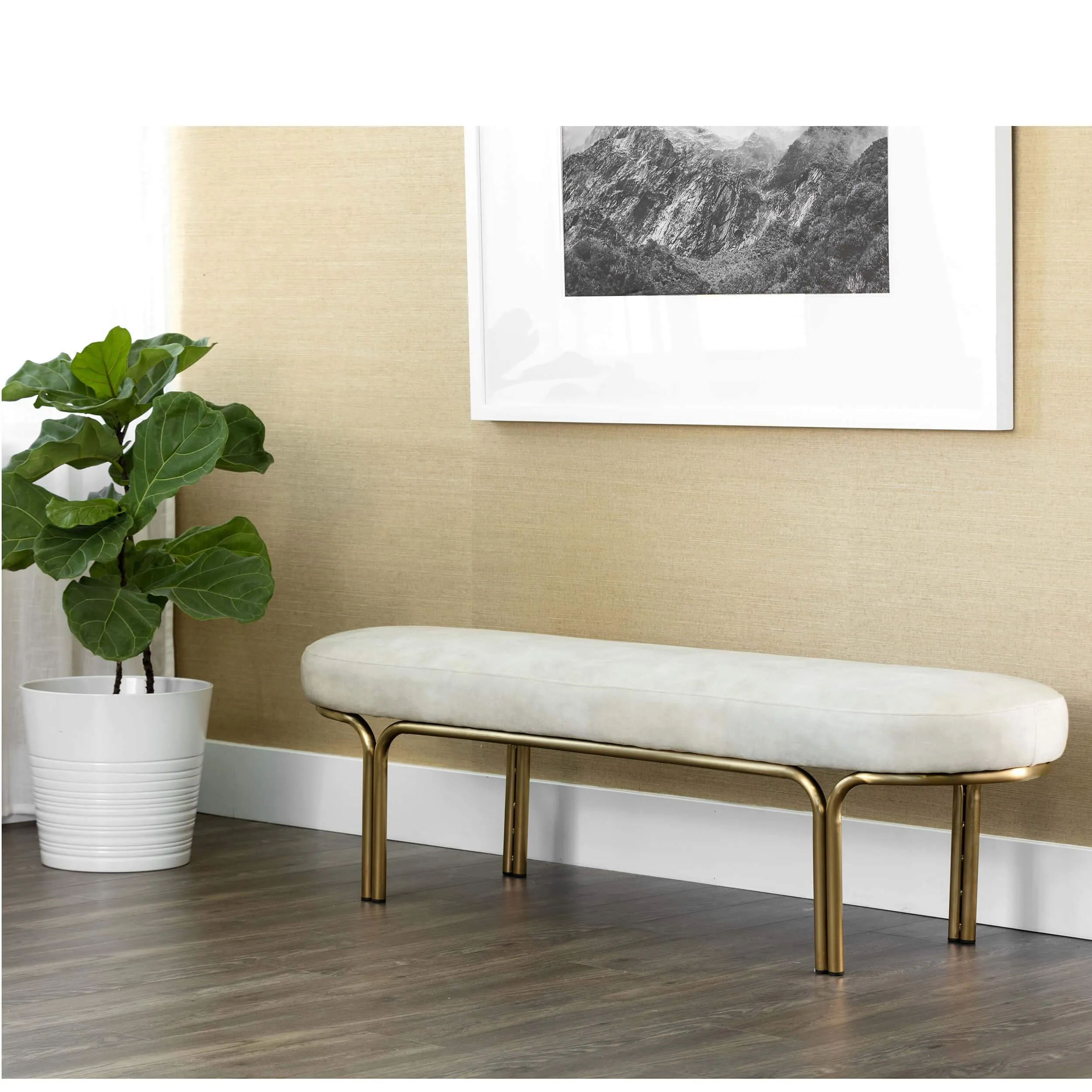 Gwen Bench, Nono Cream